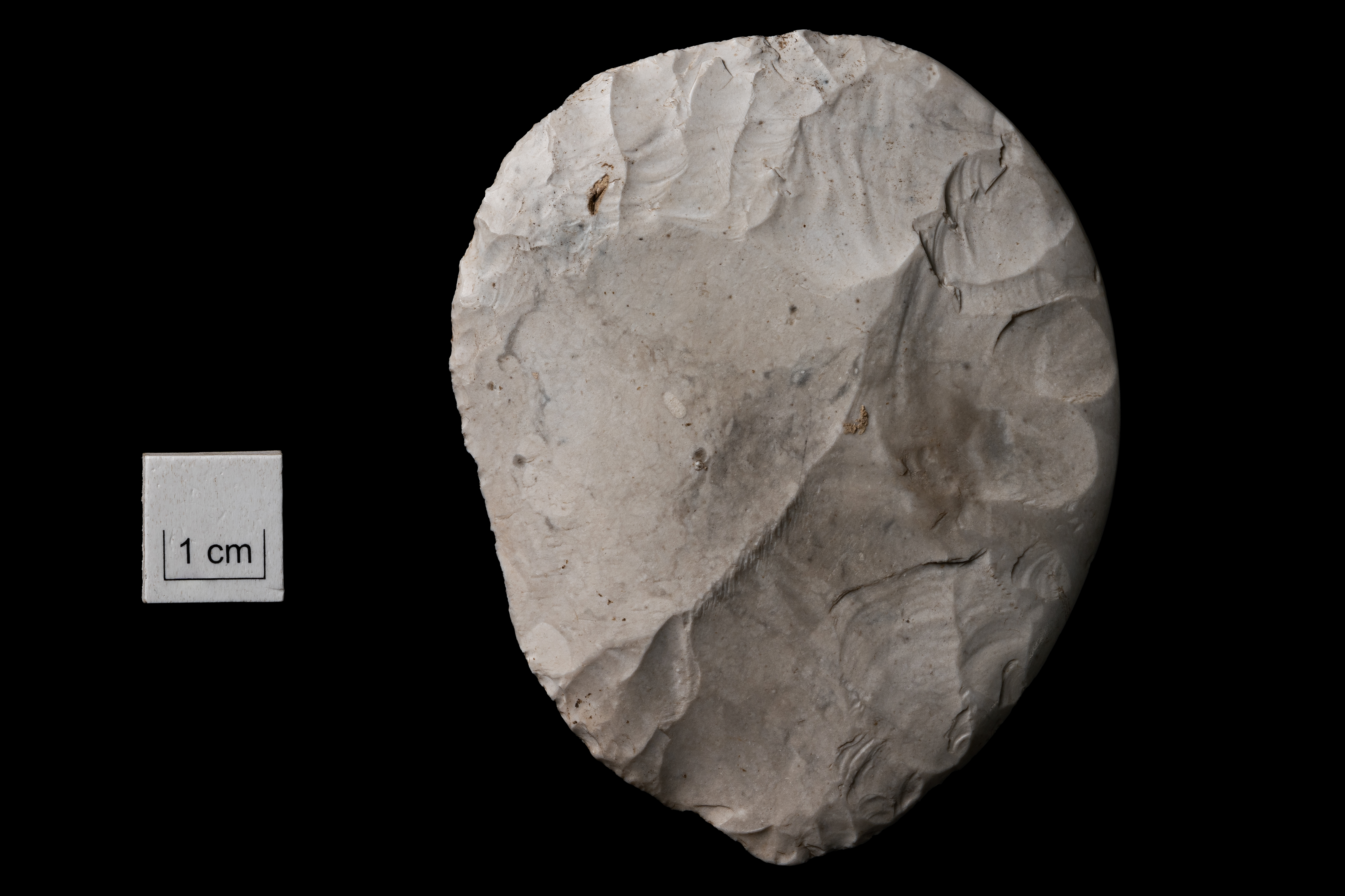 Disc shaped flint knife found at Bulford by Phil Harding of Wessex Archaeology